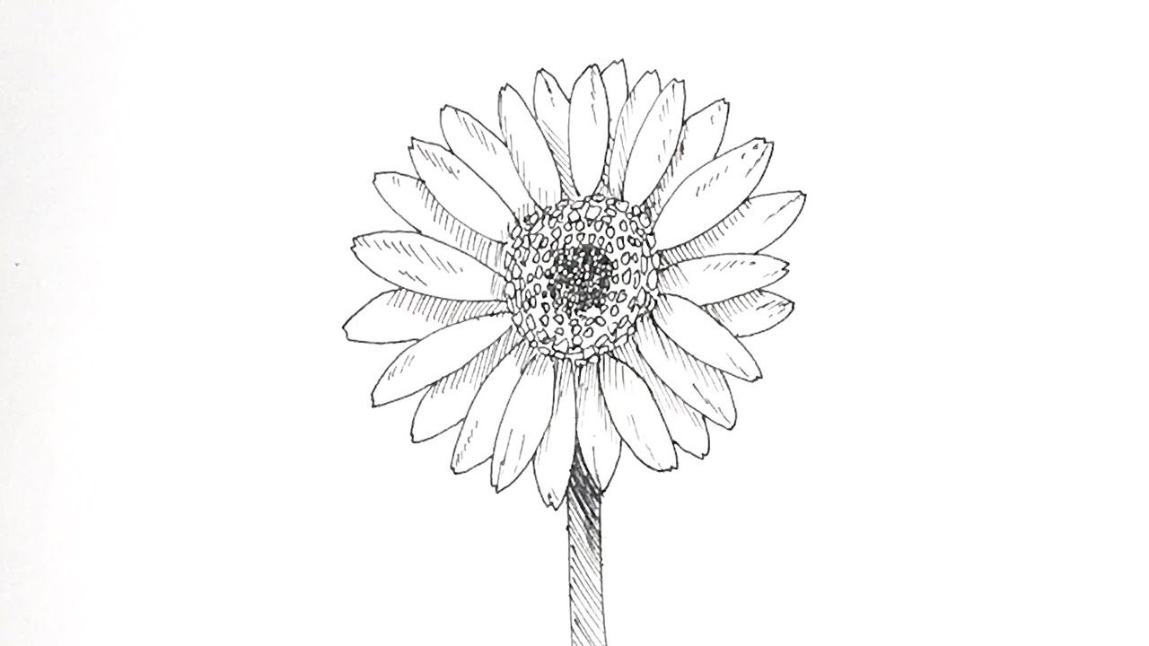 良品】ペン画植物