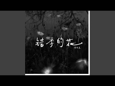 错季的花 (伴奏)