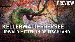 Kellerwald-Edersee - Ein Urwald in Europa | Weltwunder in Hessen | Preview | Doku
