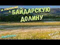 В Крыму начался ромашковый бум. Красоты Байдарской долины и поиски лучшей поляны