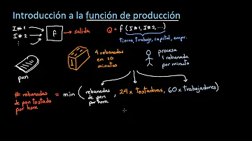 ¿Qué es la función de la producción?