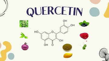 Molecular Dynamics Simulation of Quercetin Using Chimera