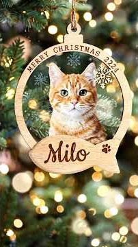 1764386672851068.mp4