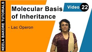 Molecular Basis of Inheritance | NEET | Lac Operon | Neela Bakore Tutorials