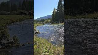 Река Урсул #nature #mountains #river #travel