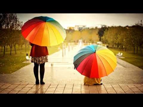 АНАСТАСІЯ ПЕТРИК ДОЩИК