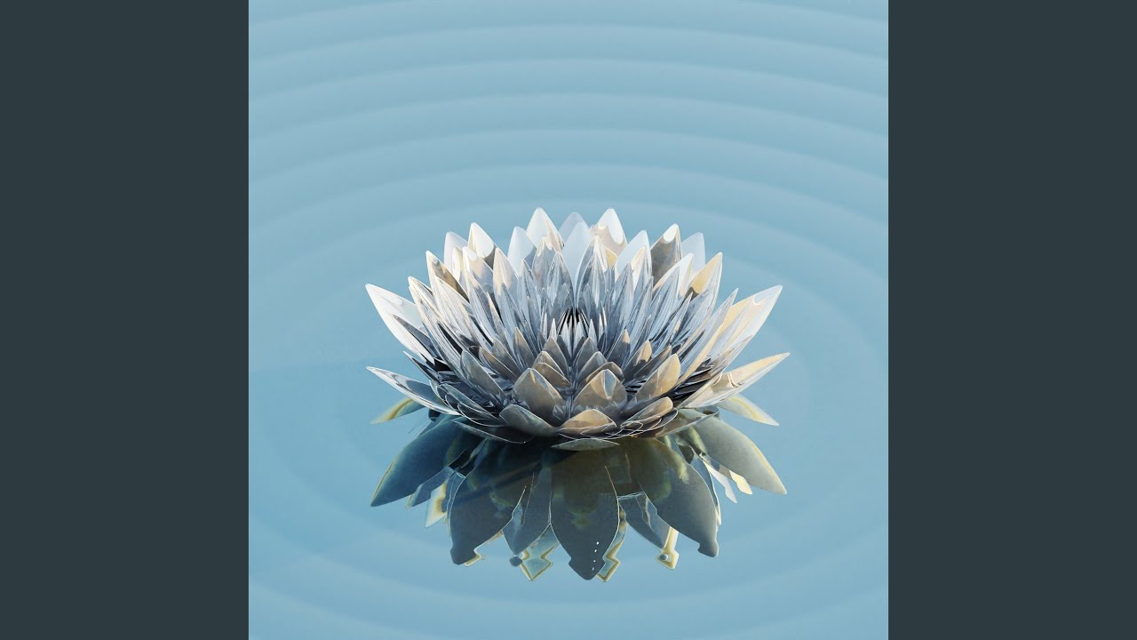 Watch Plane Ear on YouTube Watch Plane Ear on YouTube