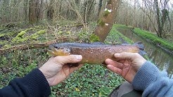 Ouverture, pêche de la truite au toc 2018 en Eure et Loir (28) PARTIE 6/6 HD
