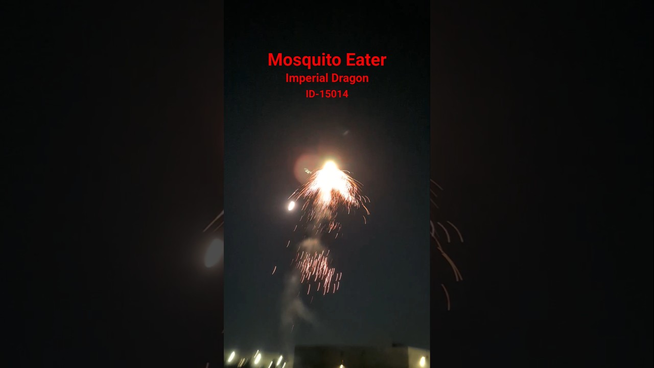 Mosquito Eater Firework / Imperial Dragon