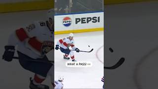 Ist Of The Year Material From Aleksander Barkov