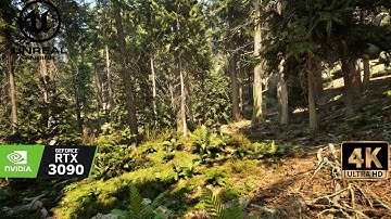 [4K] Will TES6 or Witcher 4 look like this? - Photorealistic Looking Unreal Engine Forest Demo