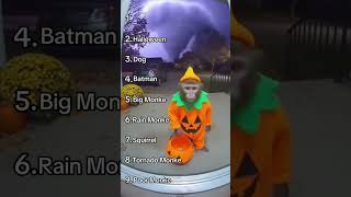 #23 Tornado : Flying Critters!😂🤪/Торнадо : Улетные животные. Ржачка#shorts #funny #animals #viral