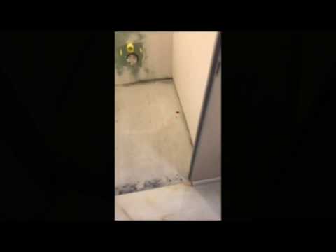 Video: Eko tualeti necə tənzimləmək olar?