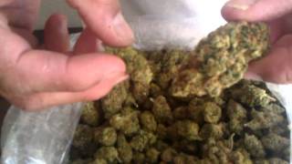 Indoor Sage Kush from Collective of CA