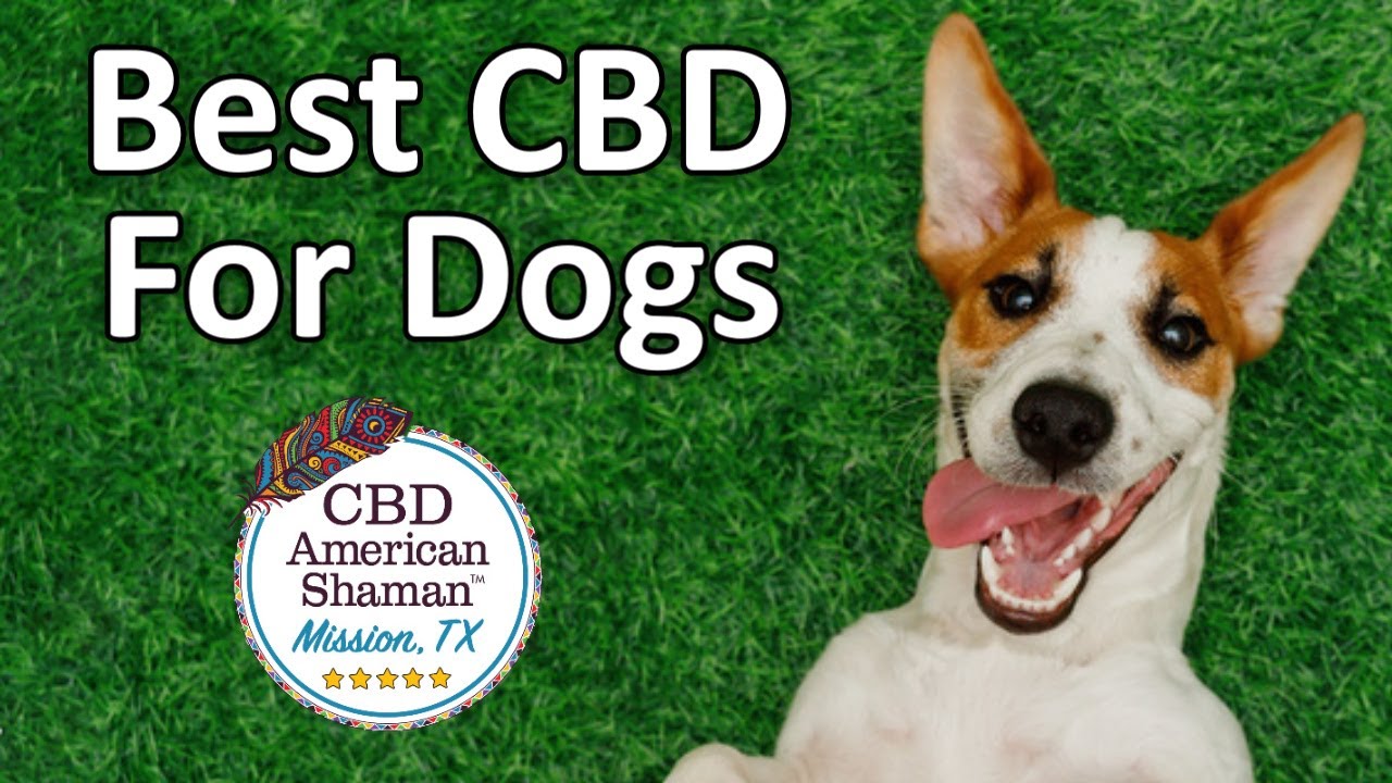 CBD for Dogs Mission TX ️ Best CBD for Dogs Mission TX ️ CBD American