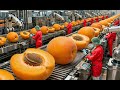 Inside a Modern Apricot Processing Plant: From Harvest to End Products (Full Process)