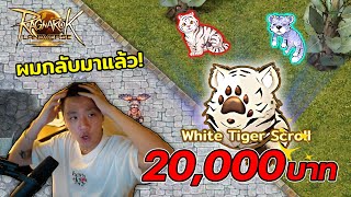 กลับมาเล่นใหม่!! 20,000 นี้ เพื่อ White Tiger Scroll | Ragnarok Landverse