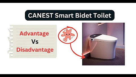 CANEST Smart Bidet Toilet Review | CANEST Smart Bidet Toilet Advantage Or Disadvantage |