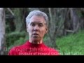 Primordial QiGong.mov