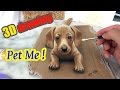 Painting of a dog in 3D | "PET ME" | 3D Drawing Illusion