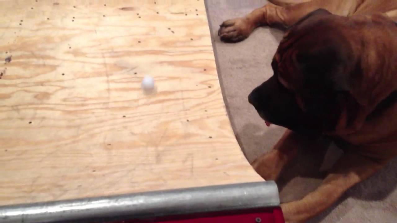 Playing with Abraham