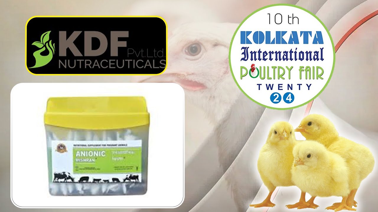 Animal Health Care & Nutrition | KDF Nutraceuticals | KIPF 2024 | Hybiz Tv