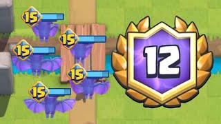 12 Win Grand Challenge with Evolved Bats