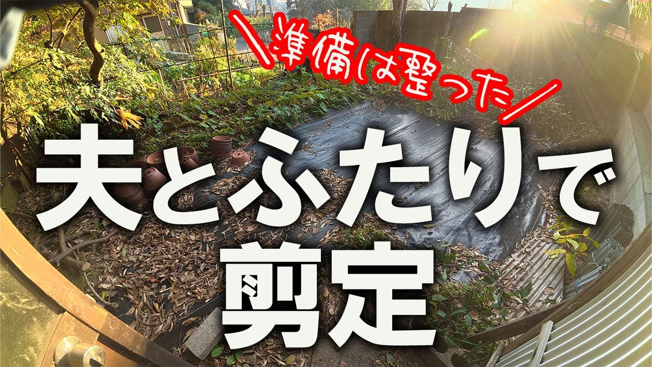 【片付け】汚山のジャングル化を阻止！！夫婦共同作業、役割分担でコツコツ金木犀の剪定。年末大掃除でスッキリした新年を迎える｜汚部屋｜ズボラ主婦｜空き家｜汚家｜庭作業｜剪定｜大掃除｜2025年大掃除⑨