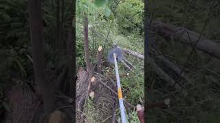 МОТОКОСА ПРОТИ ДЕРЕВ 😱 #trending #farming #youtubeshorts#viral#shorts#fyp