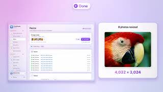 How to Batch Resize Images on Mac (Right From Finder)