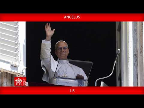 Video Angelus, 25 ottobre 2026 Papa Leone XIV LIS