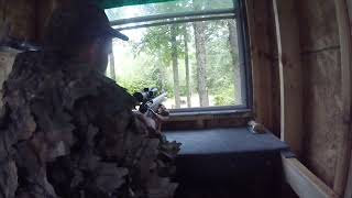270Ib black bear
