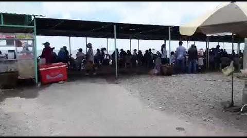 Kéo nhau đi Biển Tân Thành - Gò Công - Tiền Giang "chén hải sản" đã đời (KN 29.04.2019)