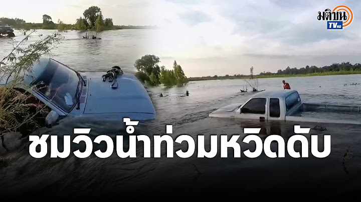 รอดปาฏิหาริย์ ลูกพาพ่อนั่งรถชมวิวยิ่งลุยยิ่งลึก ถอยไม่ทันรถติดกอ โดดออกรอดหวุดหวิด : Matichon TV