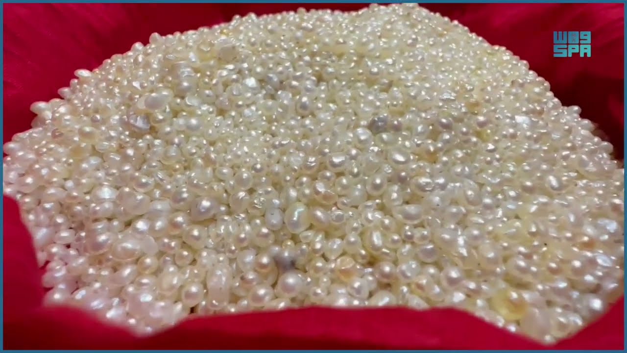 لؤلؤ فرسان .. ثراء الجزيرة وتراثها القديم.