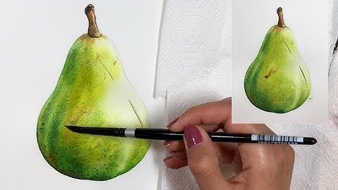 How to paint a realistic Pear in Watercolor Botanical Art