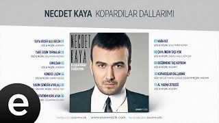 Merdivenim Kırk Ayak (Necdet Kaya) Official Audio #merdivenimkırkayak #necdetkaya - Esen Müzik