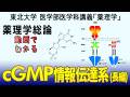 東北大学医学部薬理学講義シリーズ・薬理学総論−２５：cGMP情報伝達系（長編）