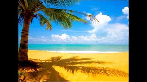 سورة الروم | القارئ الشيخ مأمون الشمالي