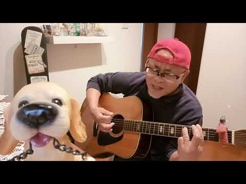 あなた(小坂明子)cover　No.184