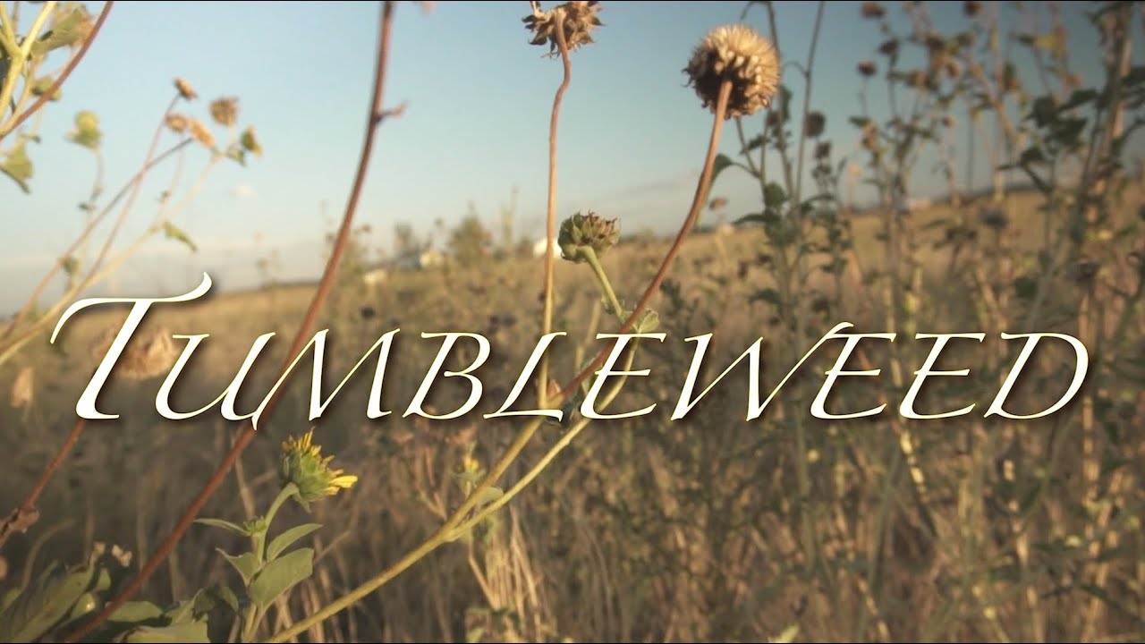 ESARA - Tumbleweed (Official Music Video)