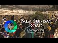 Walking down Palm Sunday Road