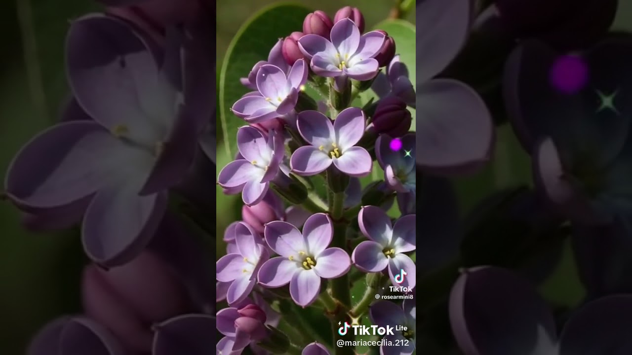 3 de janeiro de 2026