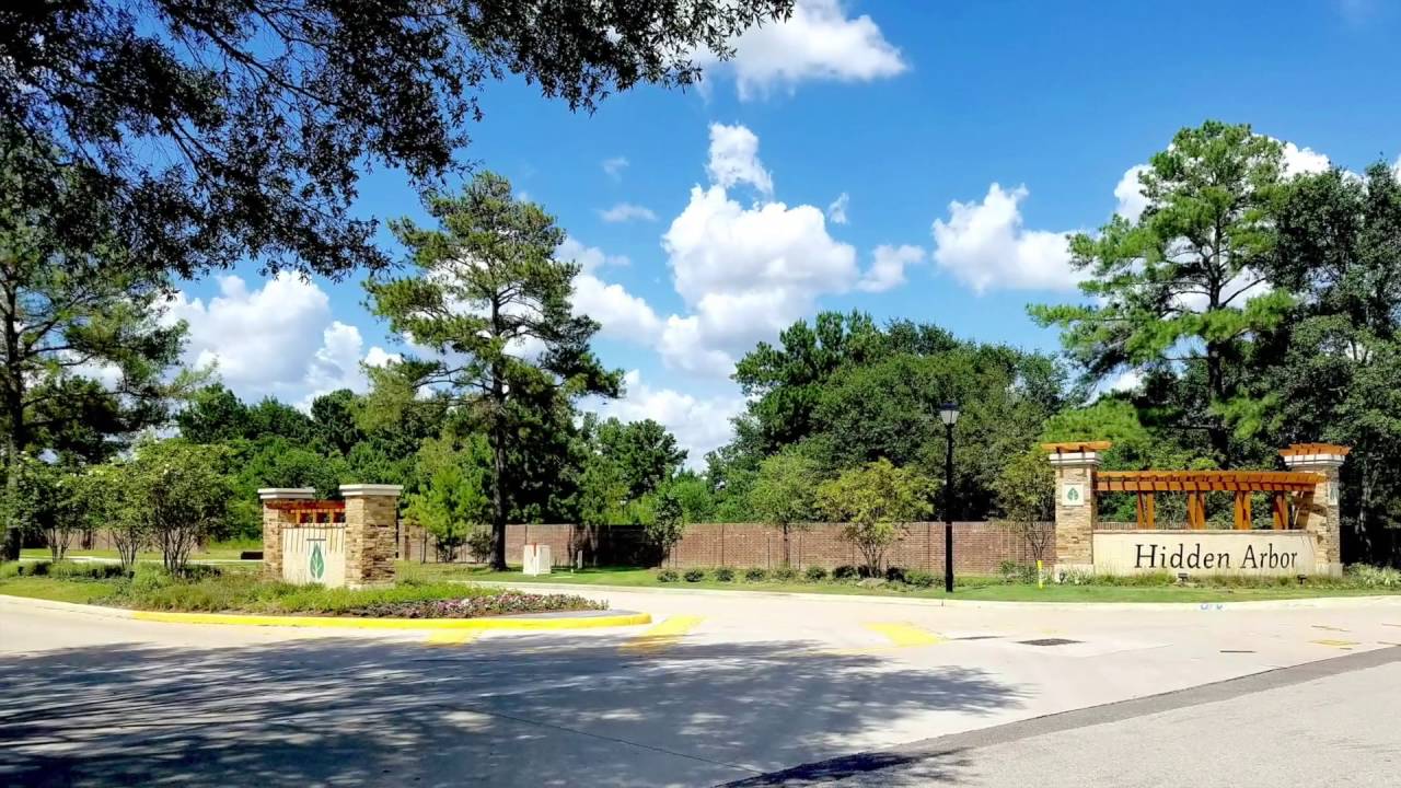 Hidden Arbor