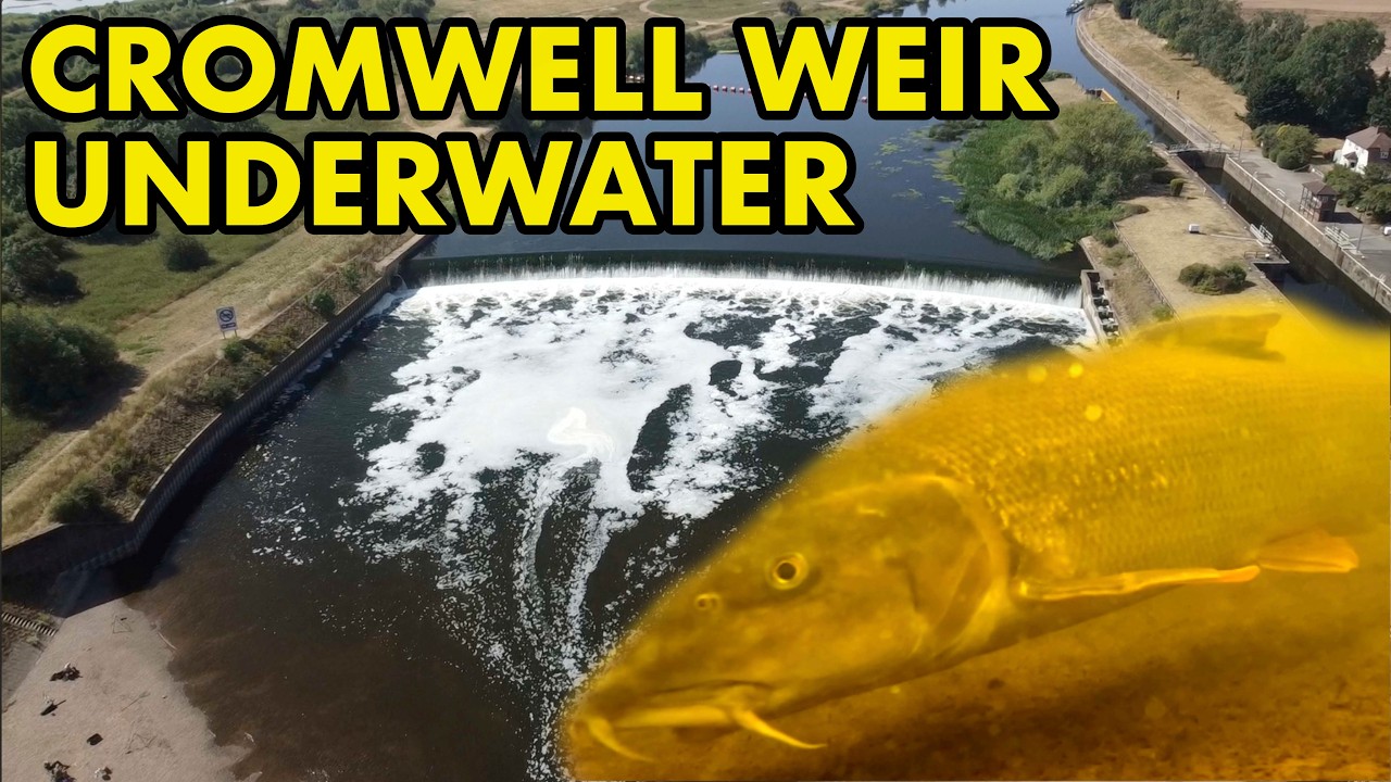 Hidden Fish Camera Below Collingham Weir, River Trent