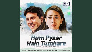 Hum Pyaar Hai Tumhare (Lofi Mix) - Kumar Sanu, Alka Yagnik