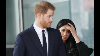 'Are You Trying to Get Meghan, Harry and Children Killed' Sussex Fans Voice Security Fury
