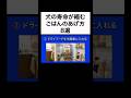 ↑詳細は上の▶︎をタップ👆【獣医師警告】9割の飼い主がやっている「NGなドッグフードのあげ方」8選