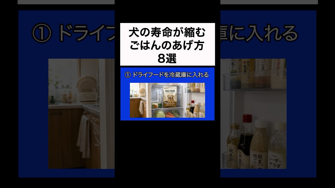 ↑詳細は上の▶︎をタップ👆【獣医師警告】9割の飼い主がやっている「NGなドッグフードのあげ方」8選