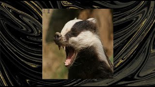 Beats you can only listen to angrier